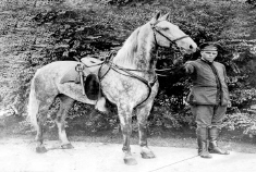 Soldier holding a horse