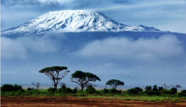 Photo of the mountain Kilimanjaro with trees in the foreground