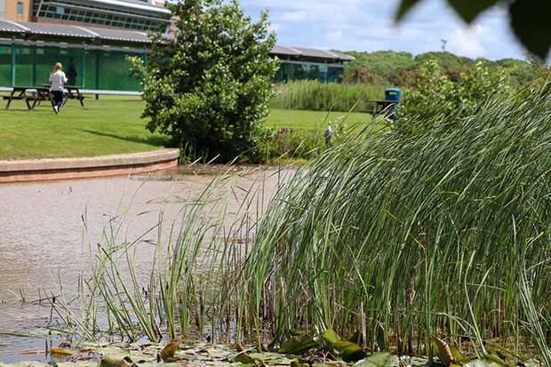 The grounds outside Peel Park