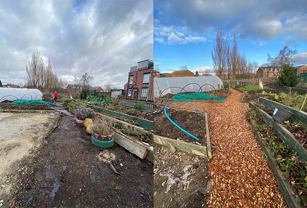 Before and after photo of the garden improvements