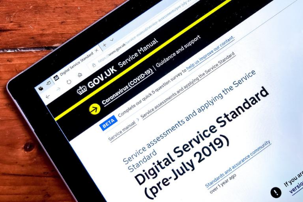 Image showing the Digital Service Standard website used as part of the assessment process